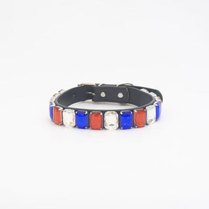 Pet Dog Collar Set