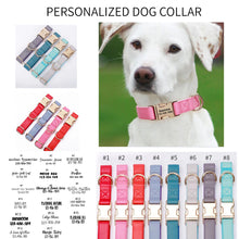 Load image into Gallery viewer, Engraved Dog Collar
