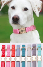 Load image into Gallery viewer, Engraved Dog Collar
