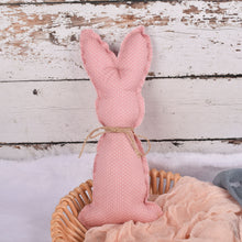 Load image into Gallery viewer, Easter Decoration Fabric Rabbit Decoration
