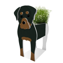 Load image into Gallery viewer, Animal Flower Planter
