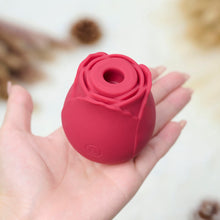 Load image into Gallery viewer, RTS-Silicone Rose Toy-Red
